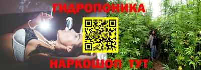 mdpv Краснокаменск