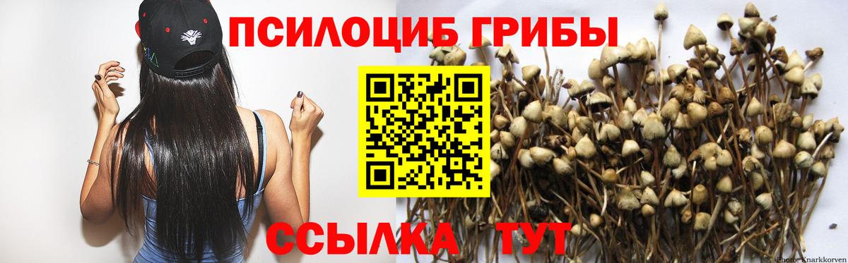 Псилоцибиновые грибы MAGIC MUSHROOMS  Вход с VPN  Донецк  Галлюциногенные грибы MAGIC MUSHROOMS 